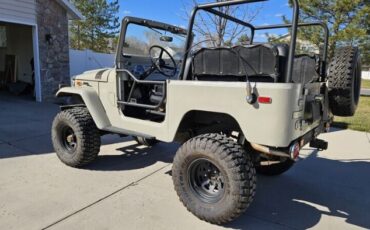 Unknown-Land-cruiser-1971-Tan-Black-12