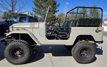 Unknown-Land-cruiser-1971-Tan-Black-14