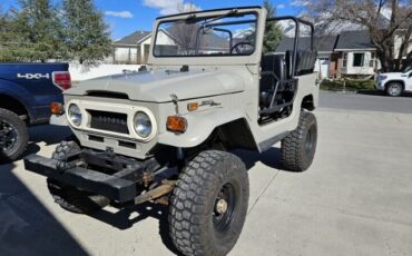 Unknown-Land-cruiser-1971-Tan-Black-15