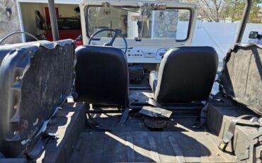 Unknown-Land-cruiser-1971-Tan-Black-3