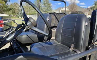 Unknown-Land-cruiser-1971-Tan-Black-6