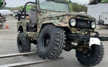Unknown-Land-cruiser-1972-Custom-2