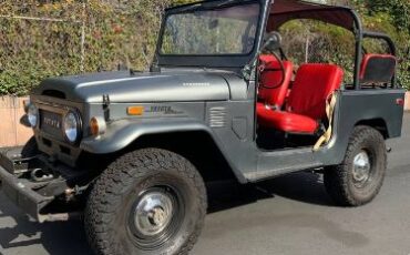 Unknown-Land-cruiser-1972-Gray-11