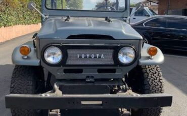 Unknown-Land-cruiser-1972-Gray-3