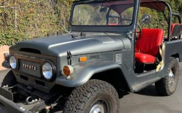 Unknown-Land-cruiser-1972-Gray-4