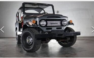 Unknown-Land-cruiser-1972-Gray-8
