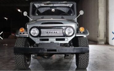 Unknown-Land-cruiser-1972-Gray-9