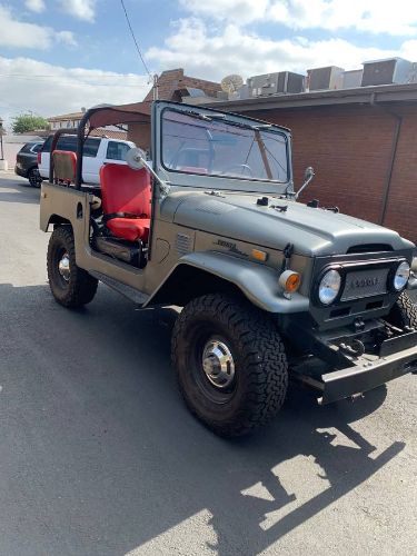 Unknown-Land-cruiser-1972-Gray