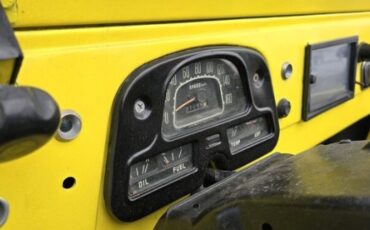 Unknown-Land-cruiser-1972-Yellow-Black-10