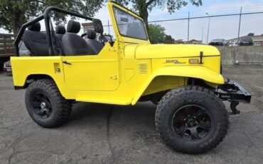 Unknown-Land-cruiser-1972-Yellow-Black-18