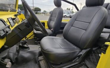 Unknown-Land-cruiser-1972-Yellow-Black-2