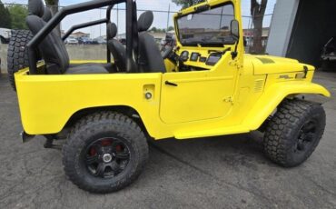 Unknown-Land-cruiser-1972-Yellow-Black-29