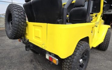 Unknown-Land-cruiser-1972-Yellow-Black-30