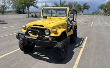 Unknown-Land-cruiser-1973