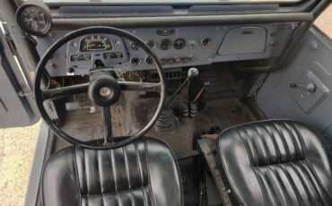 Unknown-Land-cruiser-1973-Gray-20