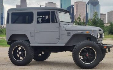 Unknown-Land-cruiser-1973-Gray
