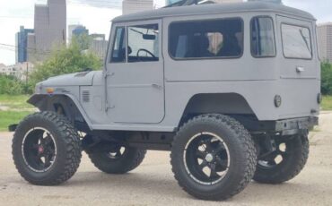 Unknown-Land-cruiser-1973-Gray-9
