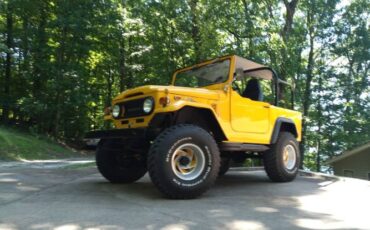 Unknown-Land-cruiser-1973-Yellow-Black-7