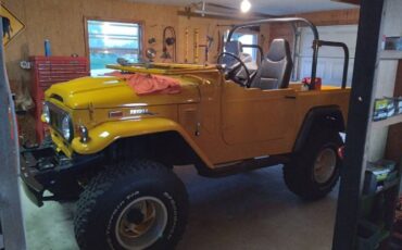 Unknown-Land-cruiser-1973-Yellow-Black-9
