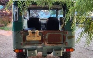 Unknown-Land-cruiser-1974-Green-Green-13