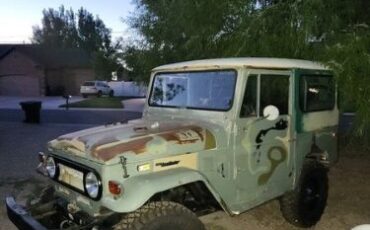 Unknown-Land-cruiser-1974-Green-Green-17