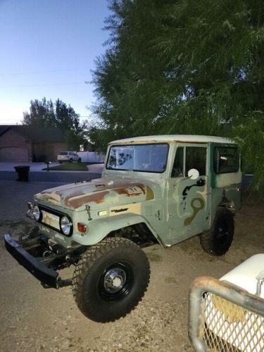 Unknown-Land-cruiser-1974-Green-Green-17