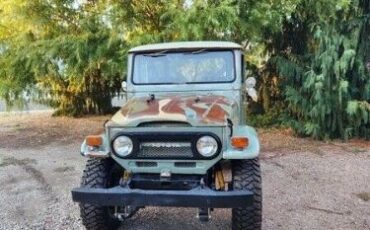 Unknown-Land-cruiser-1974-Green-Green-9
