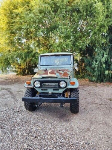 Unknown-Land-cruiser-1974-Green-Green-9