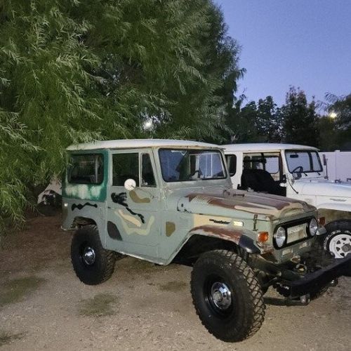 Unknown-Land-cruiser-1974-Green-Green