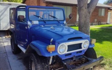 Unknown-Land-cruiser-1975-Blue-Blue