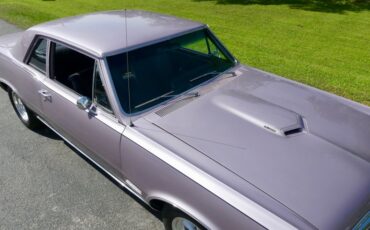 Unknown-Lemans-1965-Iris-Mist-Black-2
