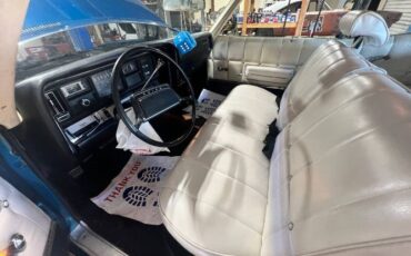 Unknown-Lesabre-1969-Blue-4