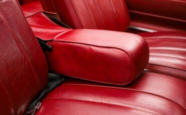 Unknown-Lesabre-1975-Ruby-Red-Ruby-Red-41