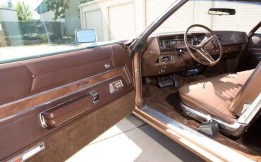 Unknown-Ltd-1972-Brown-Brown-10