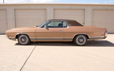 Unknown-Ltd-1972-Brown-Brown-9