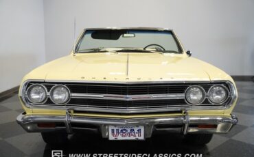 Unknown-Malibu-1965-Crocus-Yellow-White-12