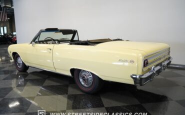 Unknown-Malibu-1965-Crocus-Yellow-White-16