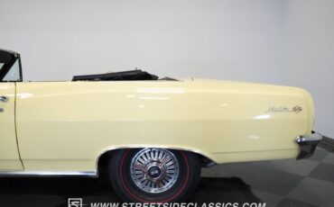 Unknown-Malibu-1965-Crocus-Yellow-White-19