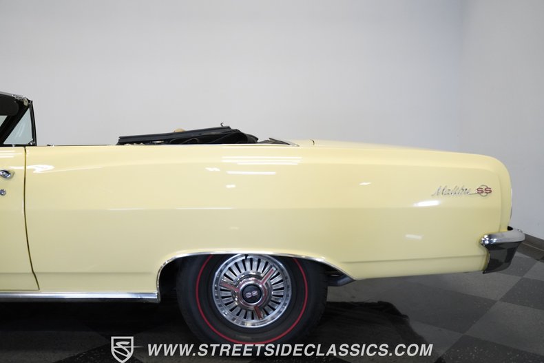 Unknown-Malibu-1965-Crocus-Yellow-White-19