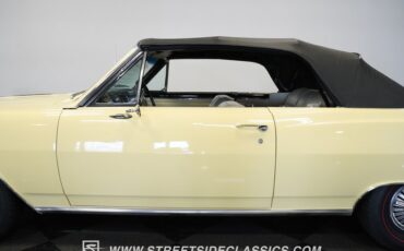 Unknown-Malibu-1965-Crocus-Yellow-White-2