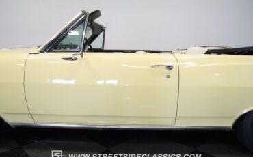 Unknown-Malibu-1965-Crocus-Yellow-White-20