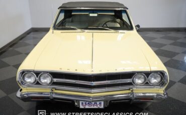 Unknown-Malibu-1965-Crocus-Yellow-White-23
