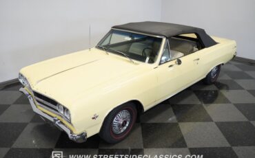 Unknown-Malibu-1965-Crocus-Yellow-White-26