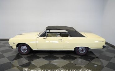 Unknown-Malibu-1965-Crocus-Yellow-White-27
