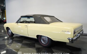 Unknown-Malibu-1965-Crocus-Yellow-White-29
