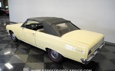 Unknown-Malibu-1965-Crocus-Yellow-White-30