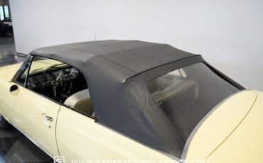 Unknown-Malibu-1965-Crocus-Yellow-White-34
