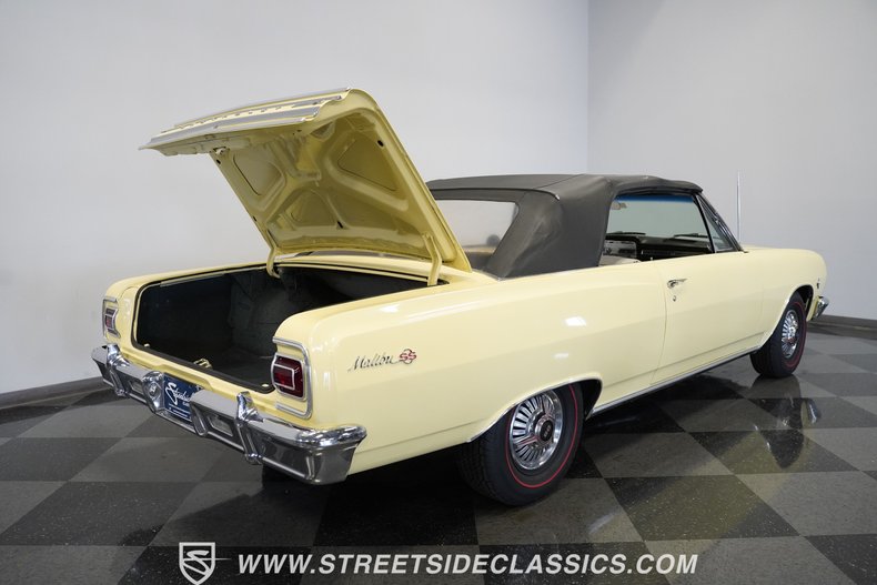 Unknown-Malibu-1965-Crocus-Yellow-White-36