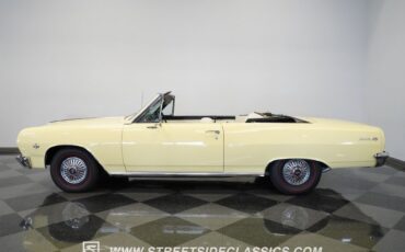 Unknown-Malibu-1965-Crocus-Yellow-White