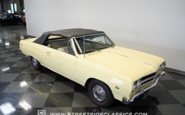 Unknown-Malibu-1965-Crocus-Yellow-White-4